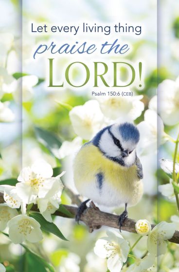 Spring Praise the Lord Bulletin (pack of 100) - Re-vived