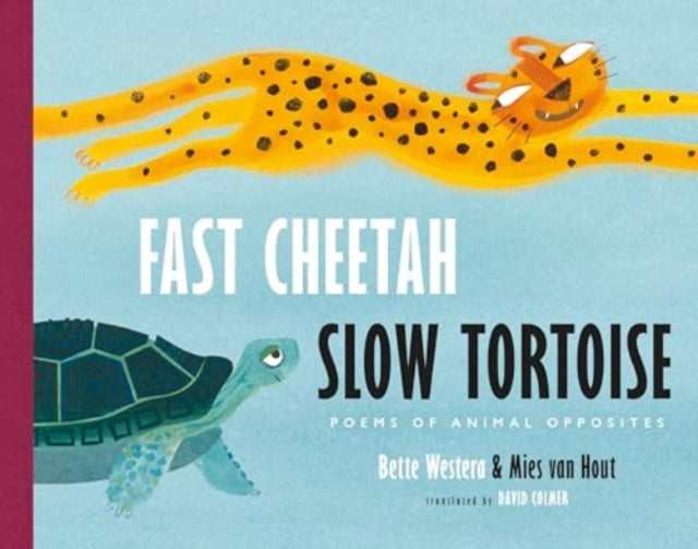 Fast Cheetah, Slow Tortoise - Re-vived