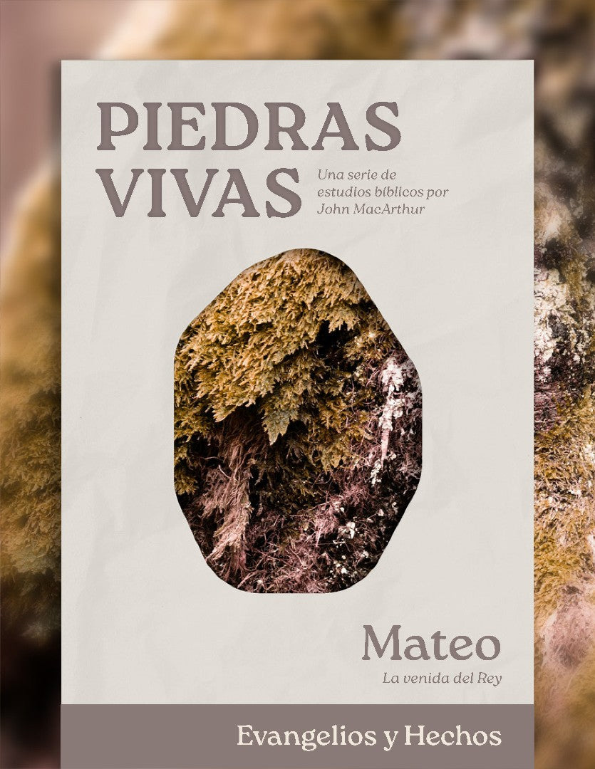 Piedras Vivas: Mateo - Estudio Bíblico - Re-vived