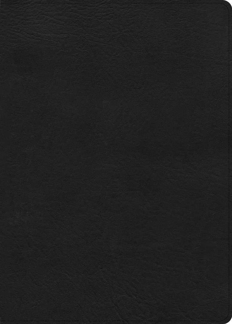 CSB Study Bible, Large Print Edition, Black Leathertouch - Re-vived