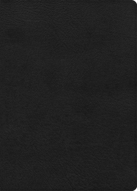 CSB Study Bible, Large Print Edition, Black, Indexed - Re-vived