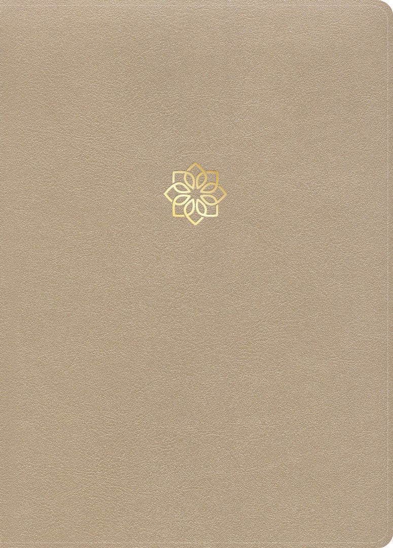 CSB Study Bible, Large Print Edition, Gold, Indexed - Re-vived