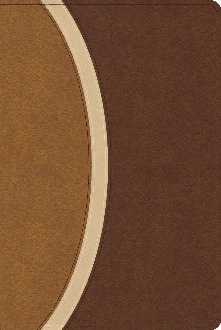 CSB Rainbow Study Bible, Brown Leathertouch - Re-vived