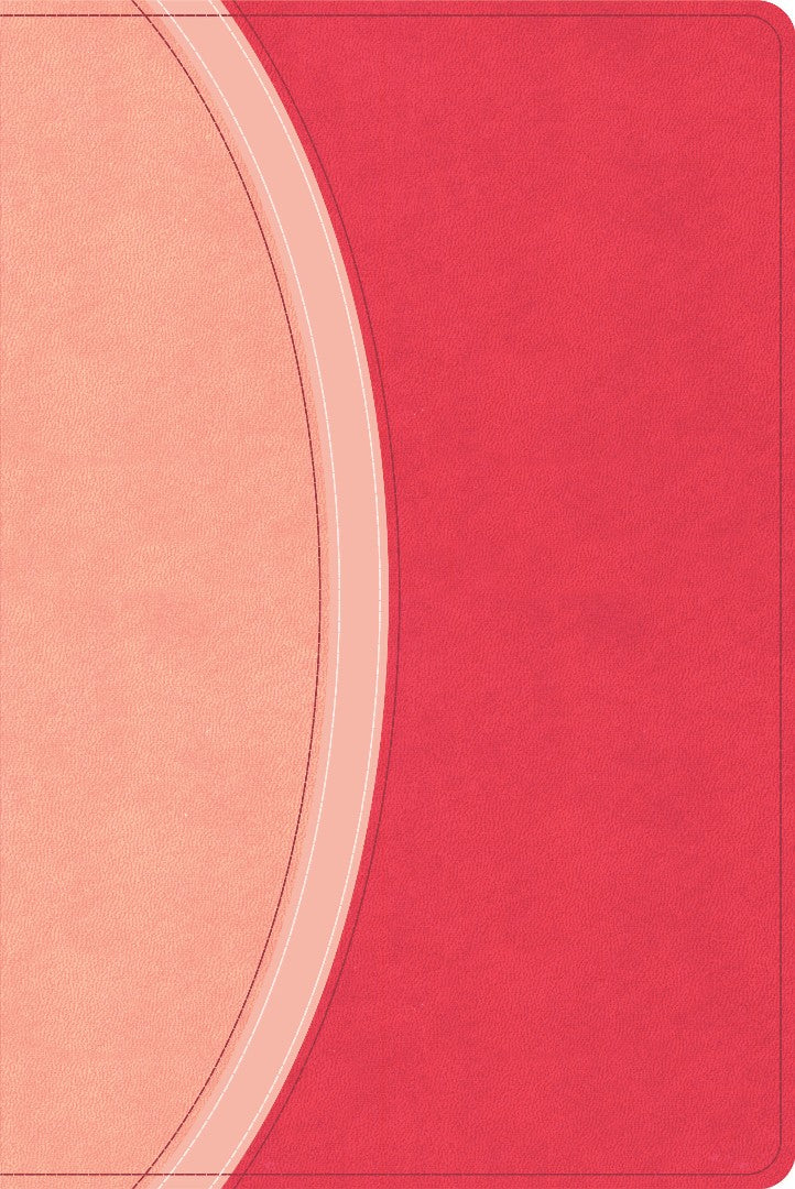 CSB Rainbow Study Bible, Pink Leathertouch (Limited Edition) - Re-vived