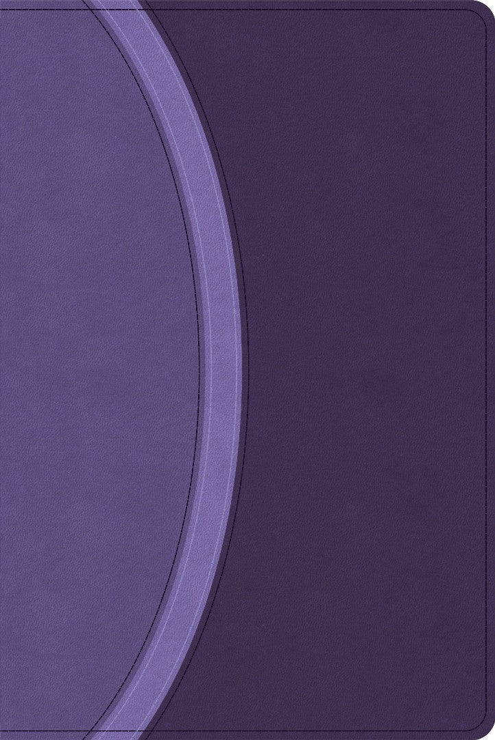 CSB Rainbow Study Bible, Purple Leathertouch - Re-vived
