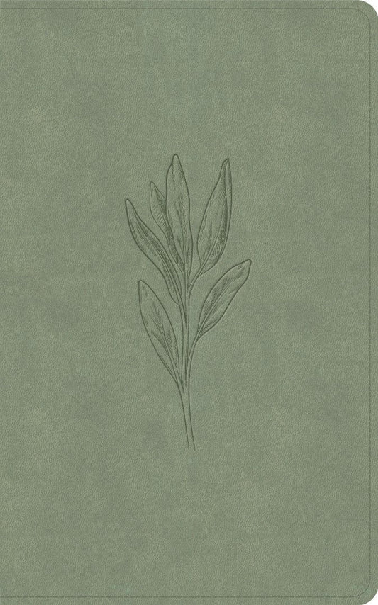 KJV Single-Column Personal Size Bible, Sage Suedesoft - Re-vived