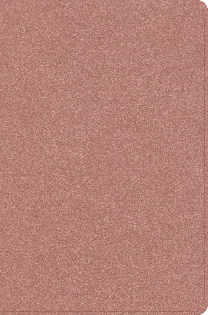 KJV Study Bible, Personal Size Edition, Rose Gold - Re-vived
