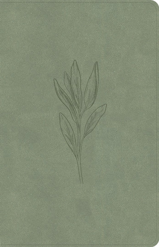KJV Thinline Bible, Sage Suedesoft Leathertouch - Re-vived