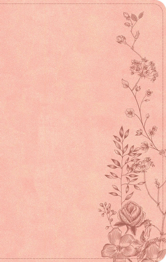 CSB Single-Column Compact Bible, Digital Study Edition - Re-vived