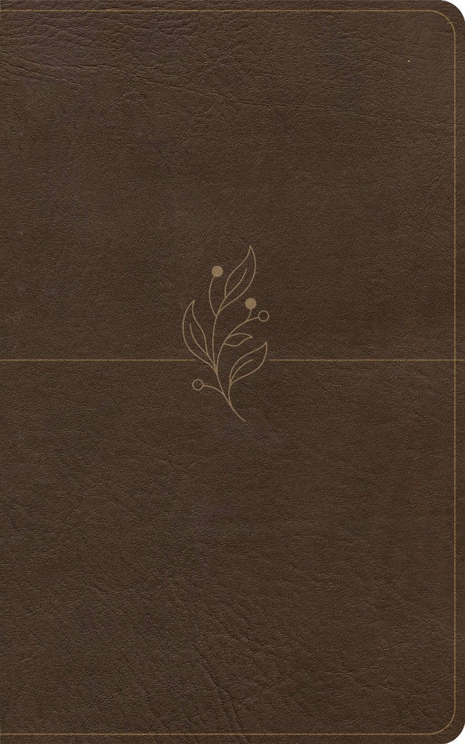 CSB Single-Column Personal Size Bible, Digital Study Edition - Re-vived