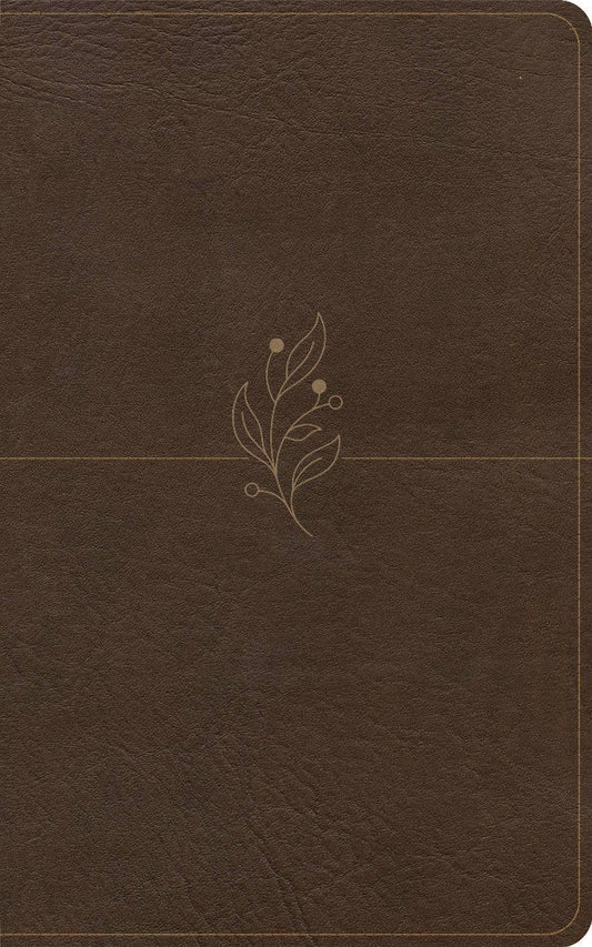 CSB Single-Column Personal Size Bible, Digital Study Edition - Re-vived