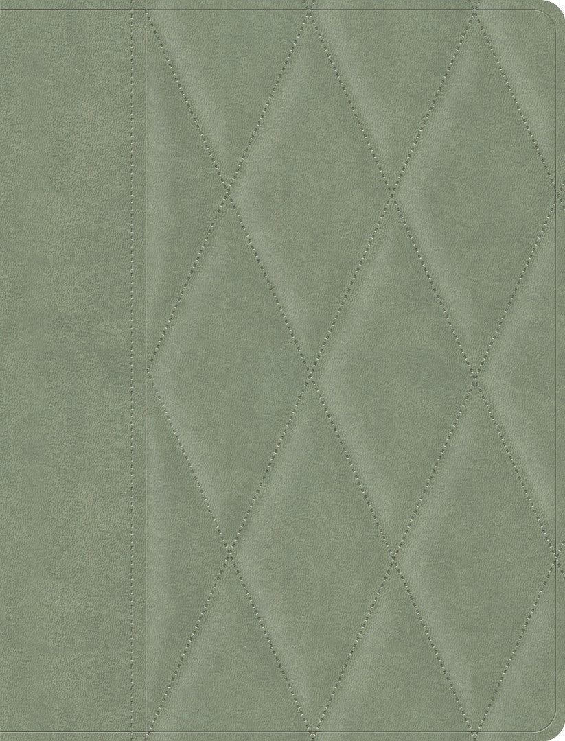 CSB Notetaking Bible, Large Print Edition, Sage Suedesoft - Re-vived