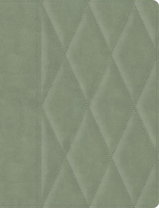CSB Notetaking Bible, Large Print Edition, Sage Suedesoft - Re-vived