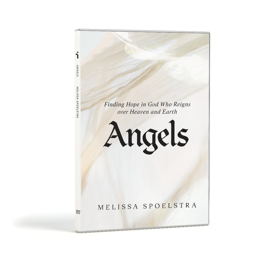 Angels DVD Set - Re-vived