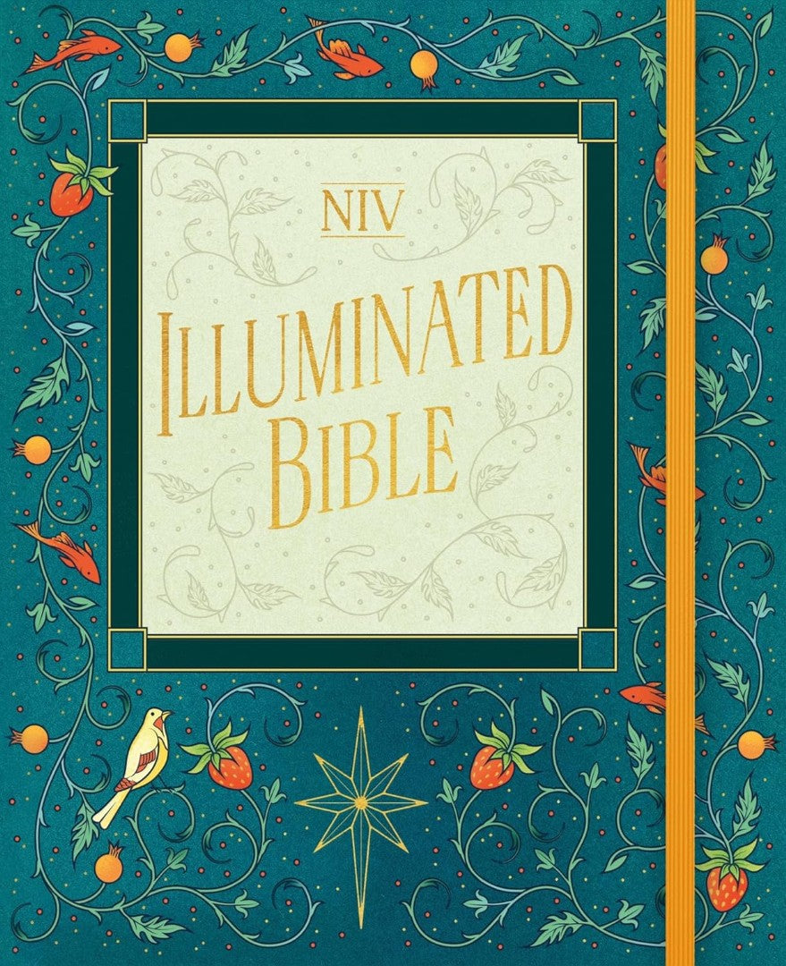 NIV Illuminated Bible - Re-vived