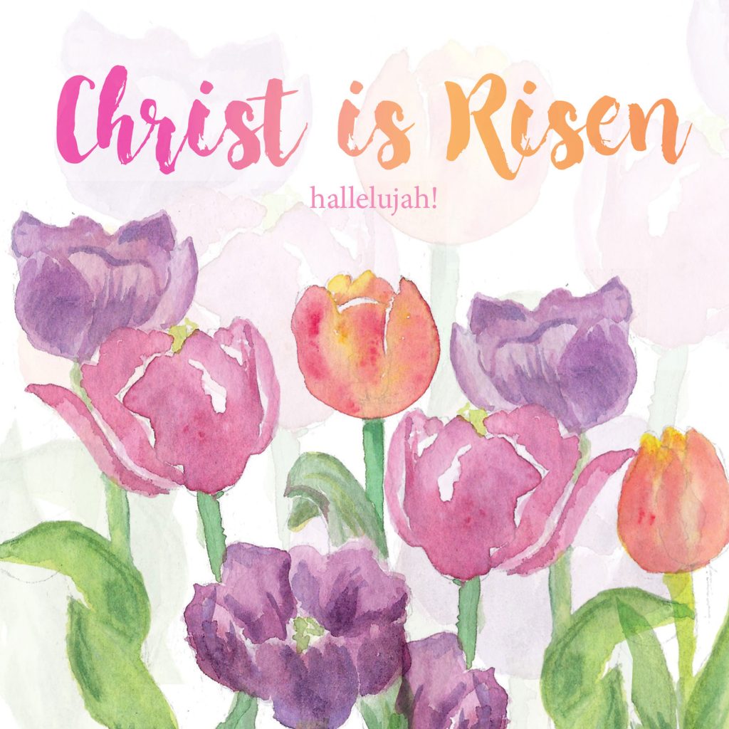 Christ Is Risen - Tulips (Pack of 5) - Re-vived