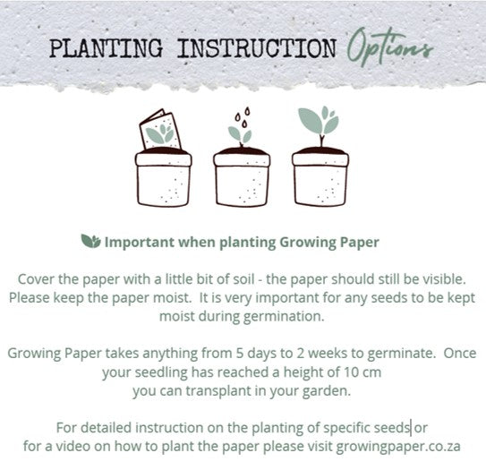 Mustard Seed Seeded Card - Re-vived