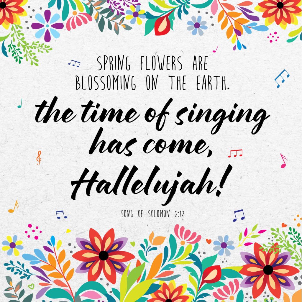 Time Of Singing Seeded Card - Re-vived