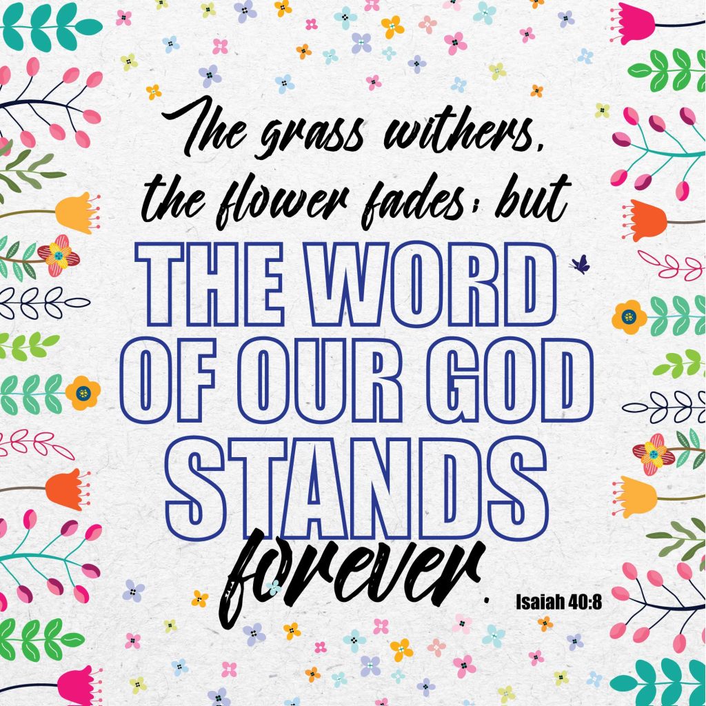 Word Of God Seeded Card - Re-vived