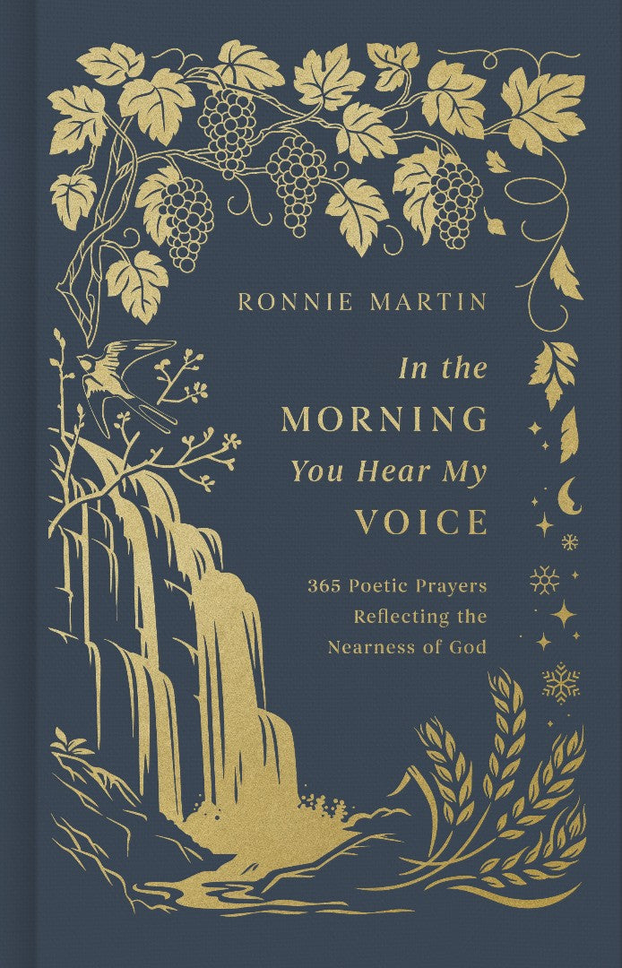 In the Morning You Hear My Voice - Re-vived