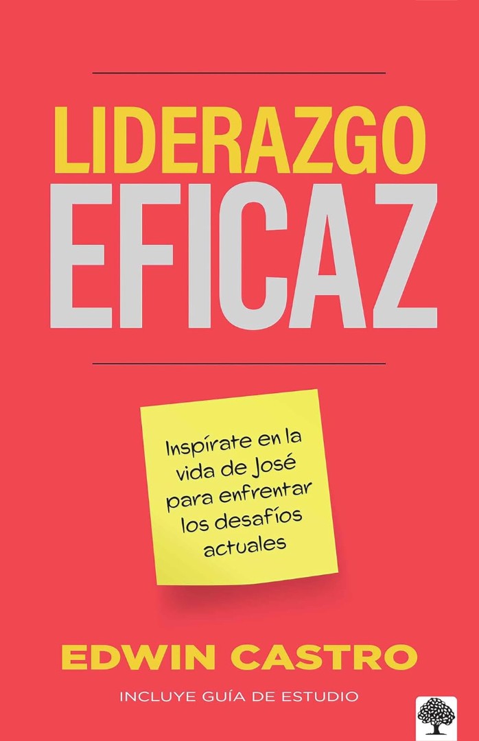 Liderazgo Eficaz - Re-vived