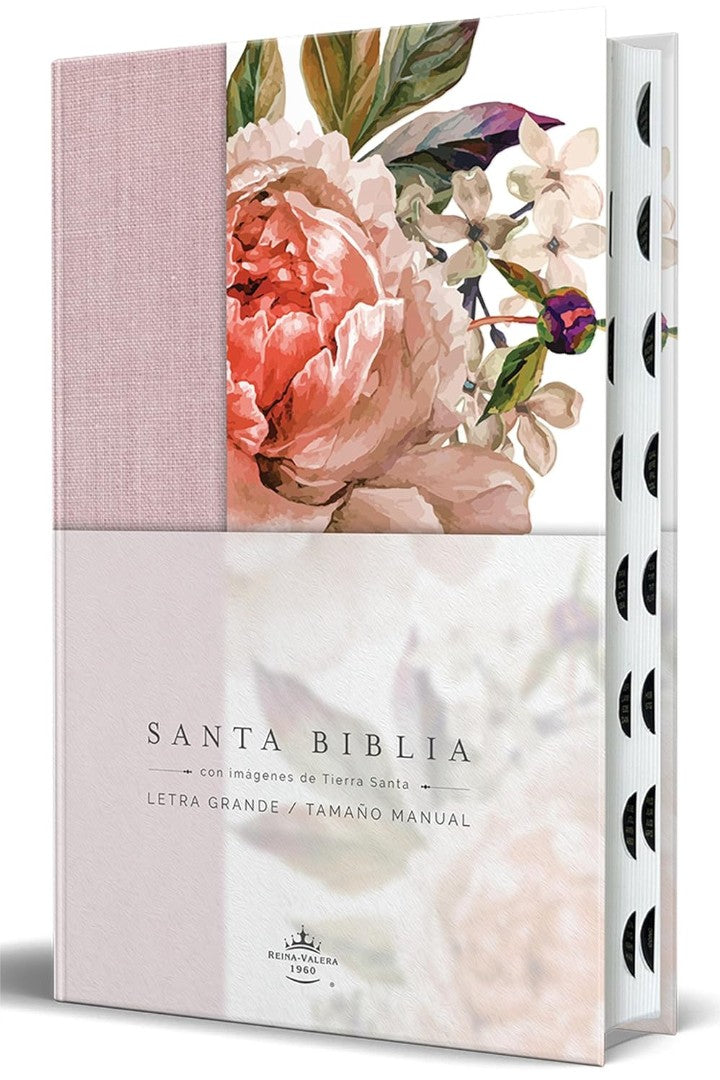 Biblia Reina Valera 1960 Letra Grande - Re-vived