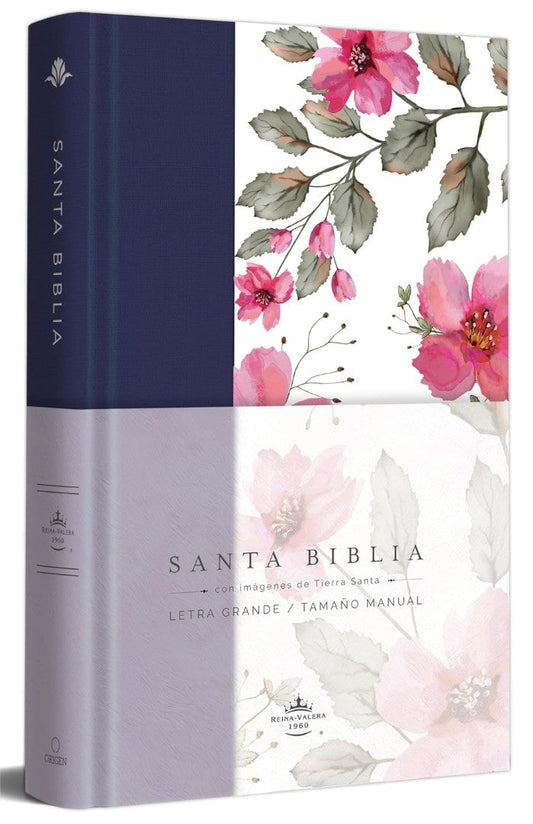 Biblia Rvr 1960 Letra Grande. Tapa Dura Tela Azul PúRpura Co - Re-vived