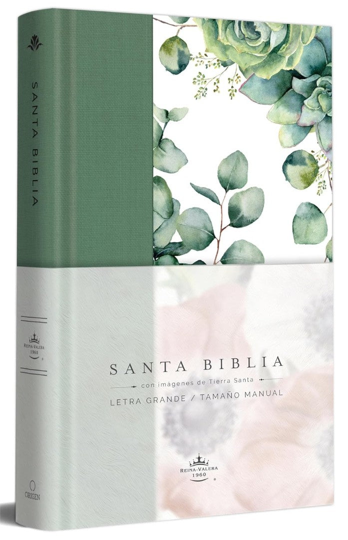Biblia Rvr 1960 Letra Grande Tapa Dura Y Tela Verde Con Flor - Re-vived