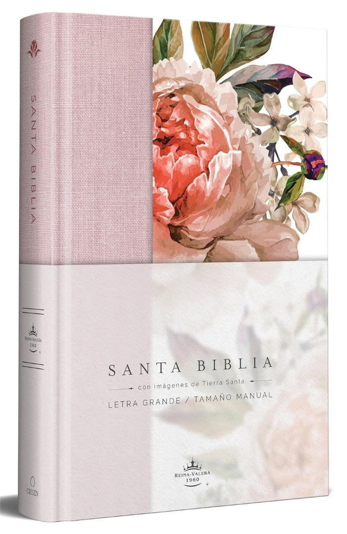Biblia Reina Valera 1960 Letra Grande. Tapa Dura - Re-vived