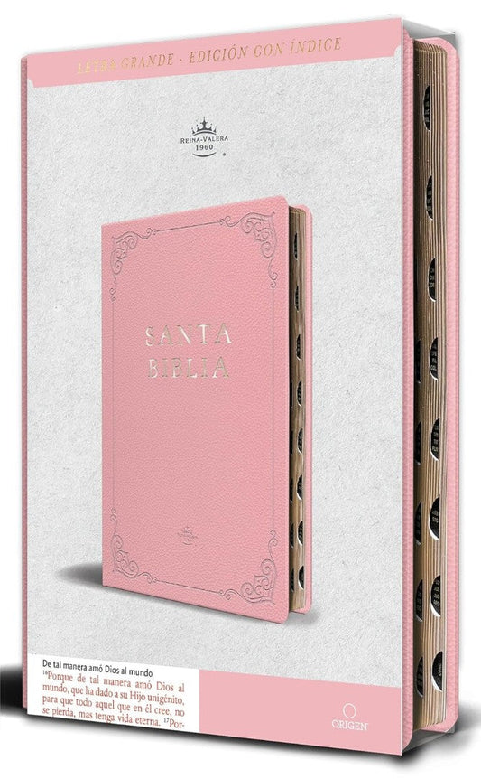 Biblia Rvr 1960 Letra Grande Tamaño Manual - Re-vived