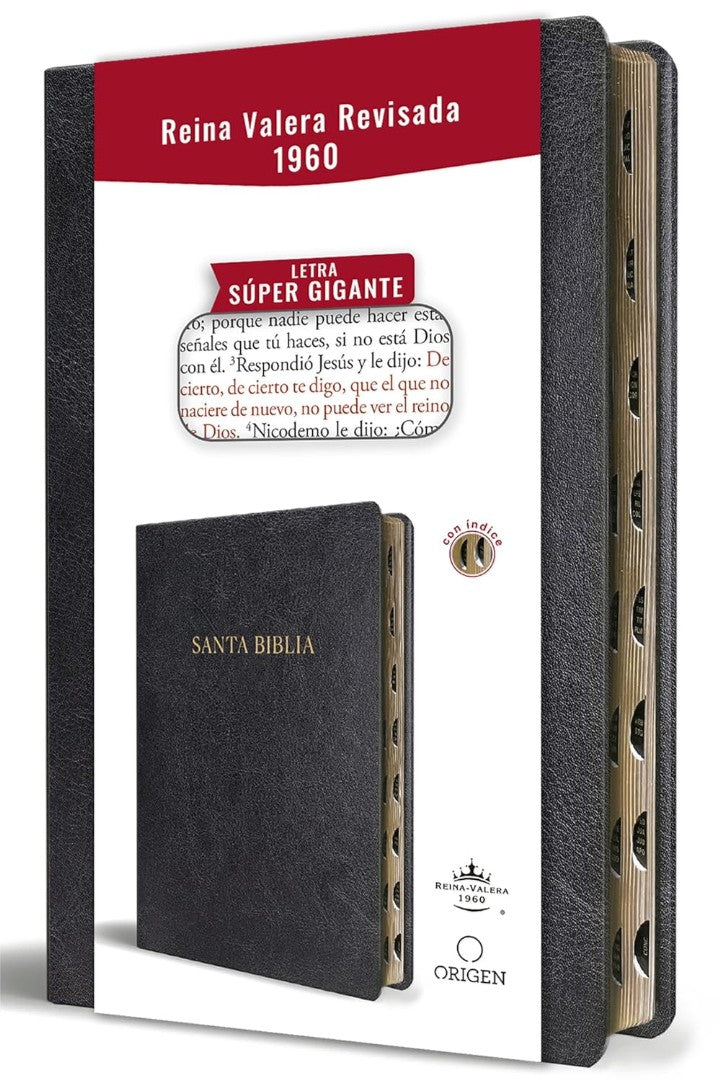 Biblia Reina Valera Revisada 1960 Letra Súper Gigante - Re-vived