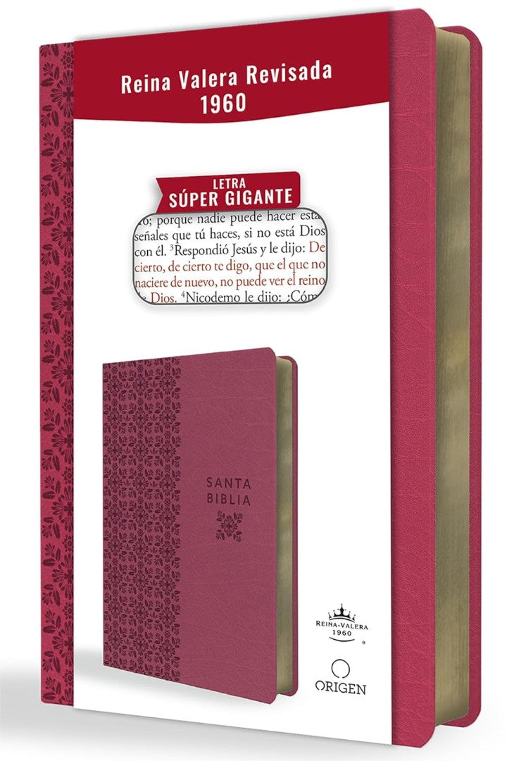 Biblia Reina Valera Revisada 1960 Letra Súper Gigante - Re-vived