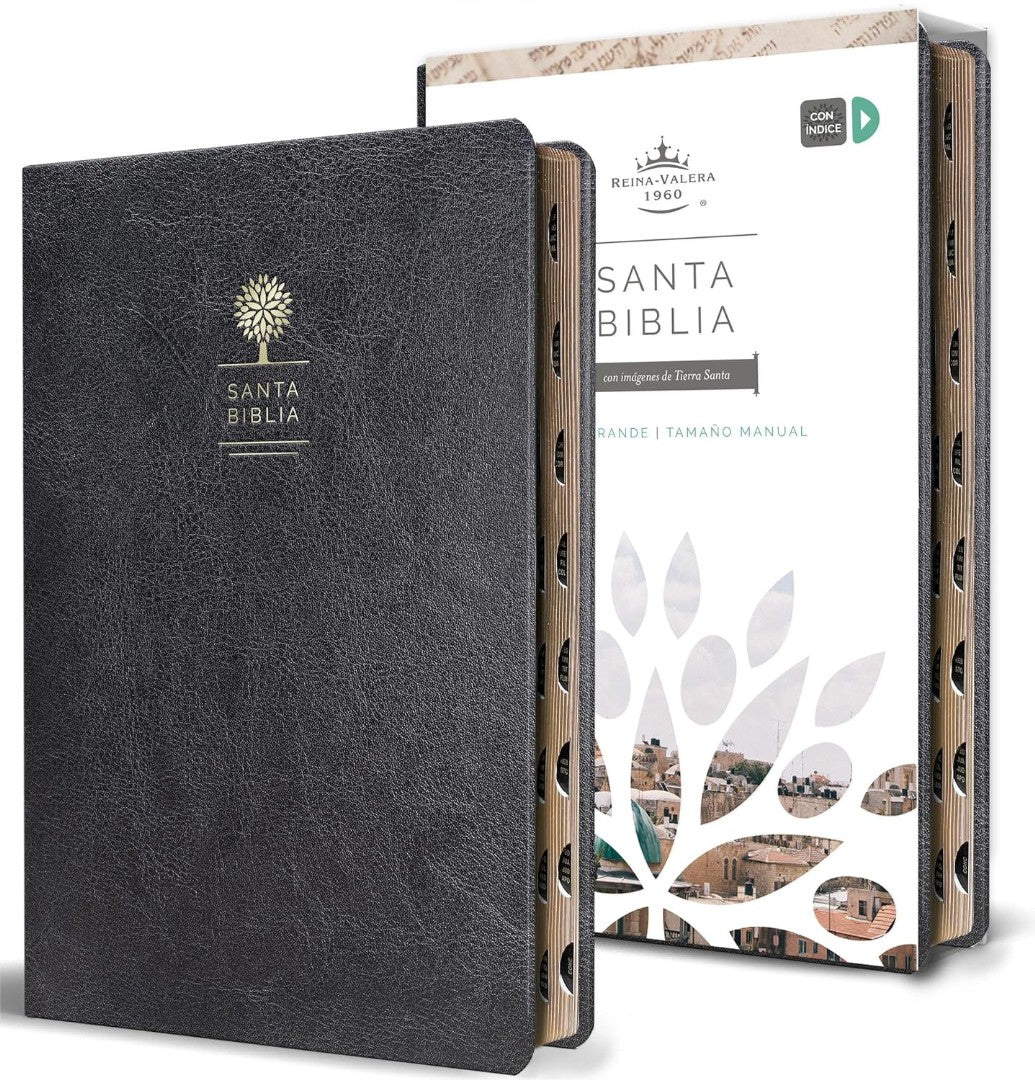 Biblia Reina Valera 1960 Letra Grande. Símil Piel Negro - Re-vived