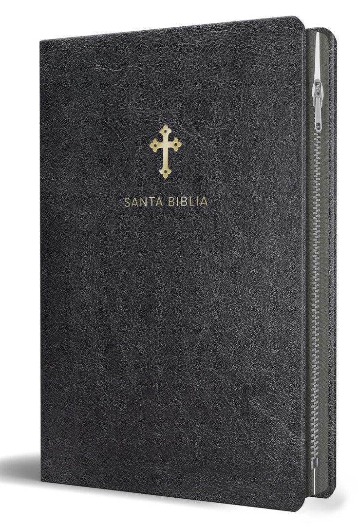 Biblia Reina Valera 1960 Tamaño Grande, Letra Grande Piel - Re-vived