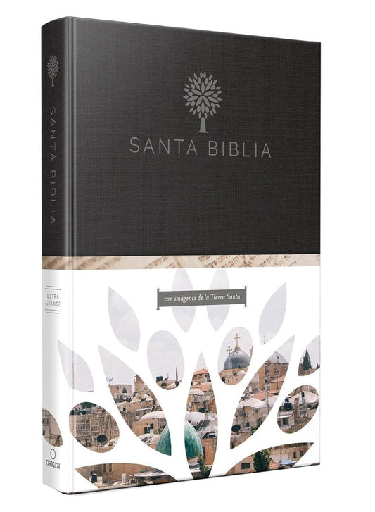 Biblia Reina Valera 1960 Tamaño Grande, Letra Grande - Re-vived