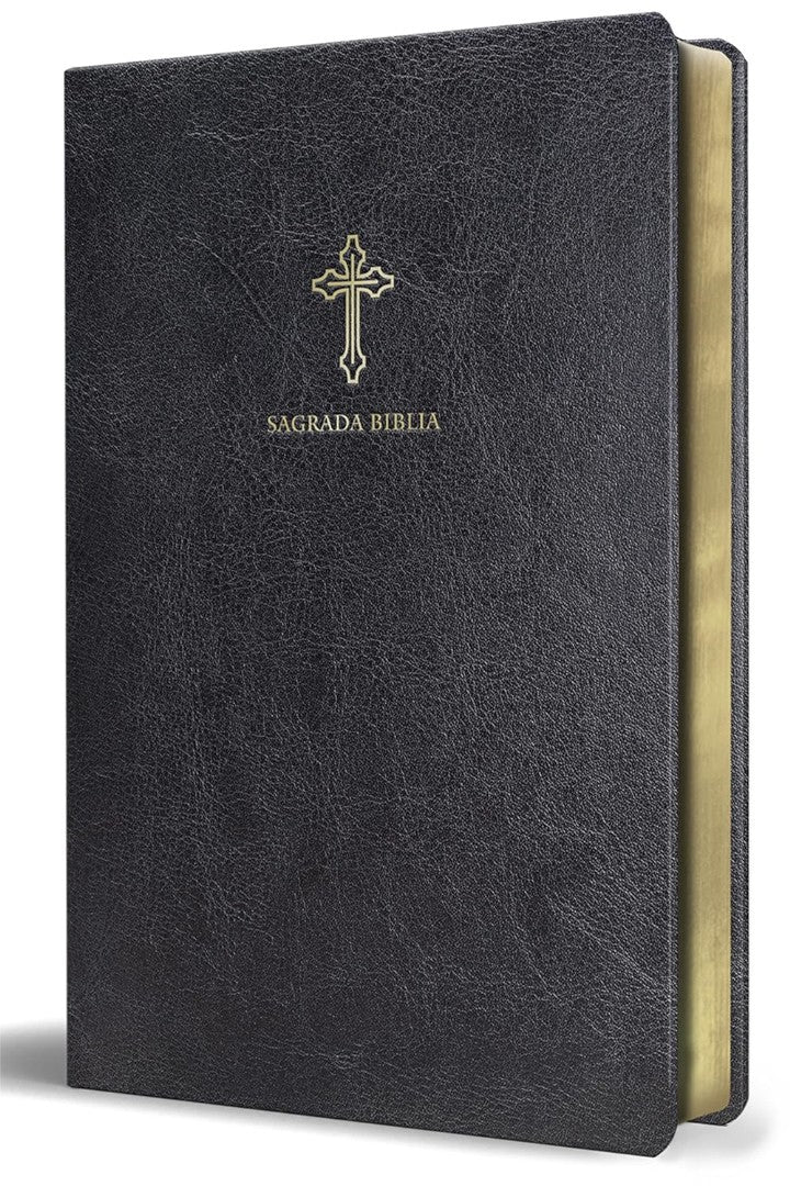 Biblia Católica En Español - Re-vived