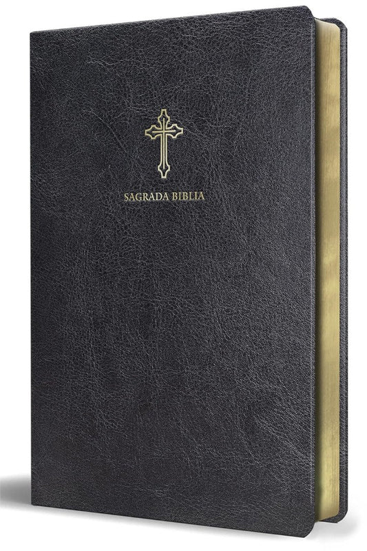 Biblia Católica En Español - Re-vived
