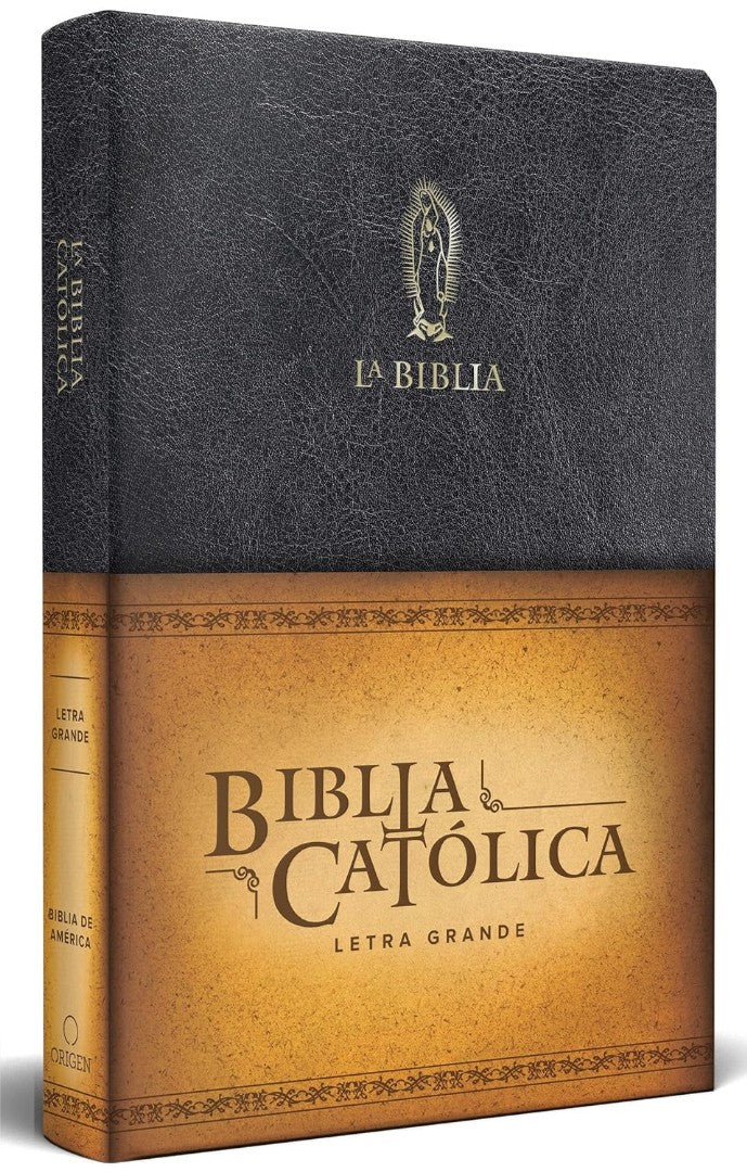 La Biblia Católica: Tamaño Grande, Edición Letra Grande - Re-vived