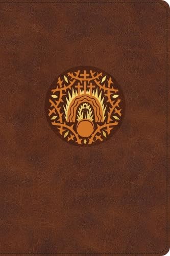 The Biggest Story Holy Bible for Kids Brown, Indexed - Re-vived