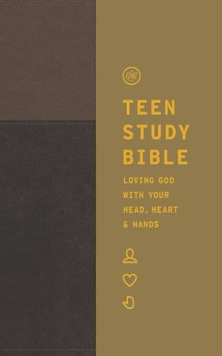 ESV Teen Study Bible, Slate/Umber - Re-vived