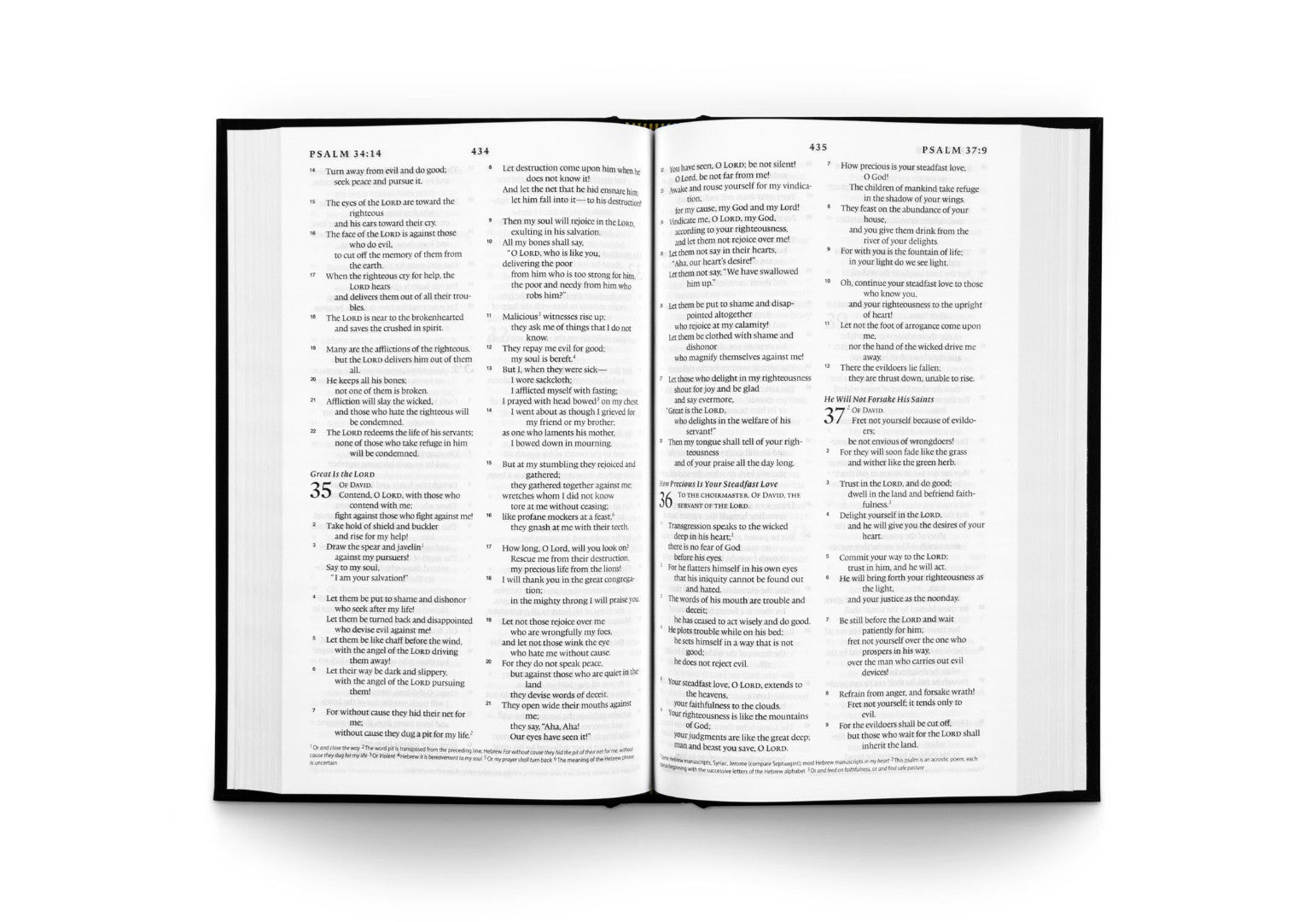 ESV Church Bible, Black - Re-vived