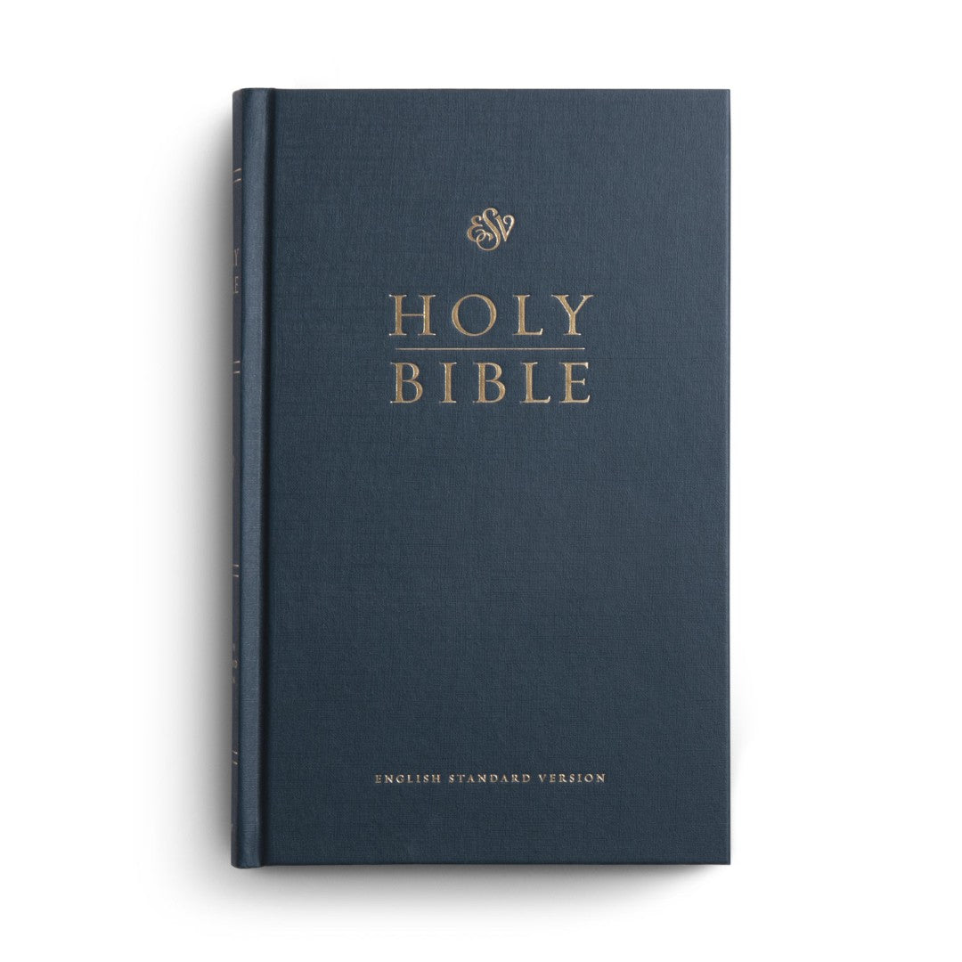 ESV Church Bible, Blue - Re-vived