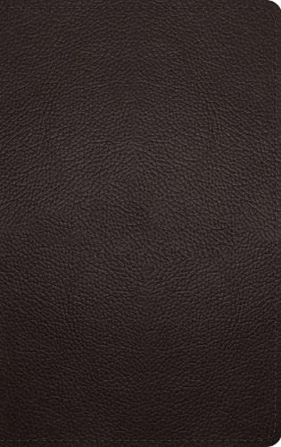 ESV Thinline Bible, Red Letter, Buffalo Leather, Deep Brown - Re-vived