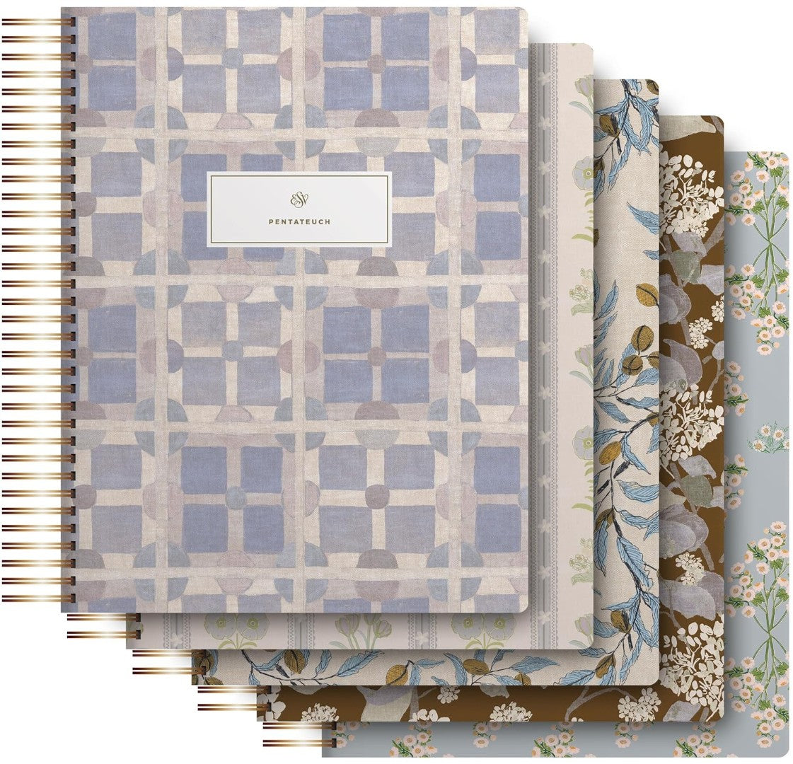 ESV Spiral-Bound Journaling Bible, Five-Volume Set - Re-vived