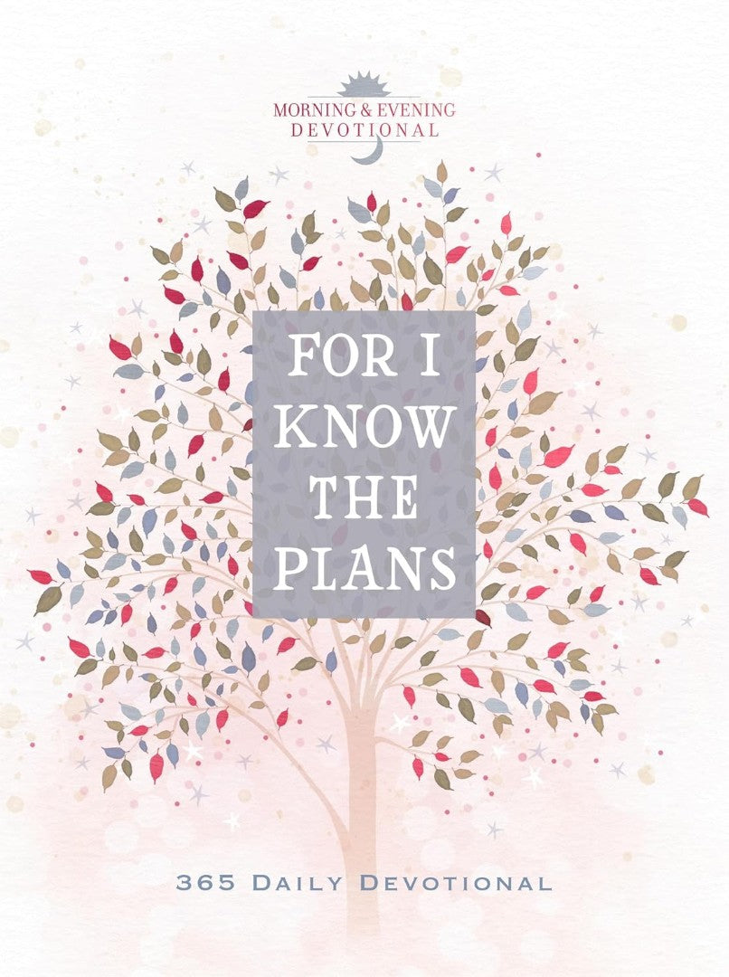 For I Know the Plans - Re-vived