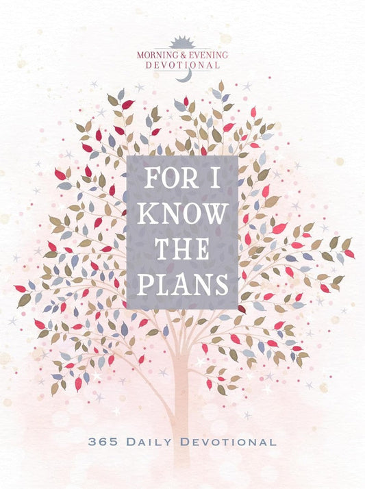 For I Know the Plans - Re-vived