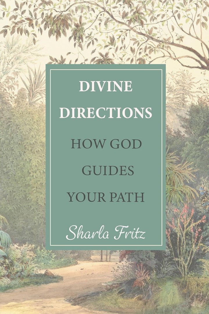 Divine Directions: How God Guides Your Path - Re-vived
