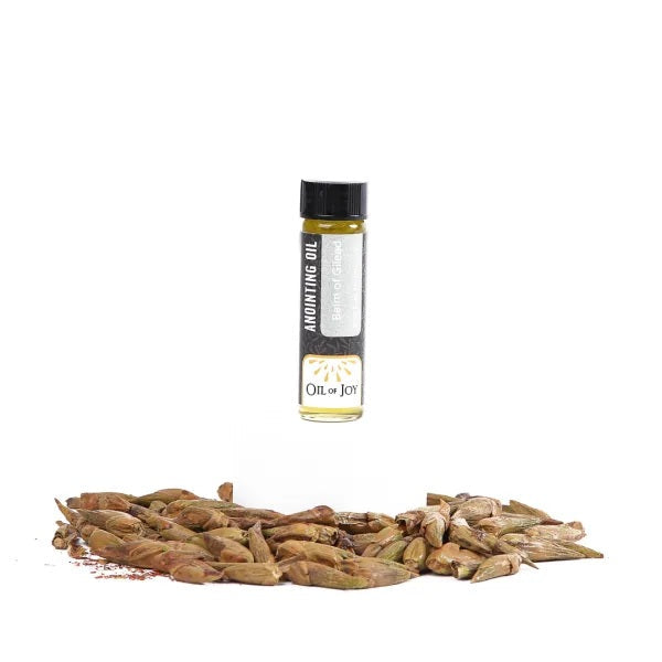 Anointing Oil Balm of Gilead 1/4 oz (Pack of 6) - Re-vived
