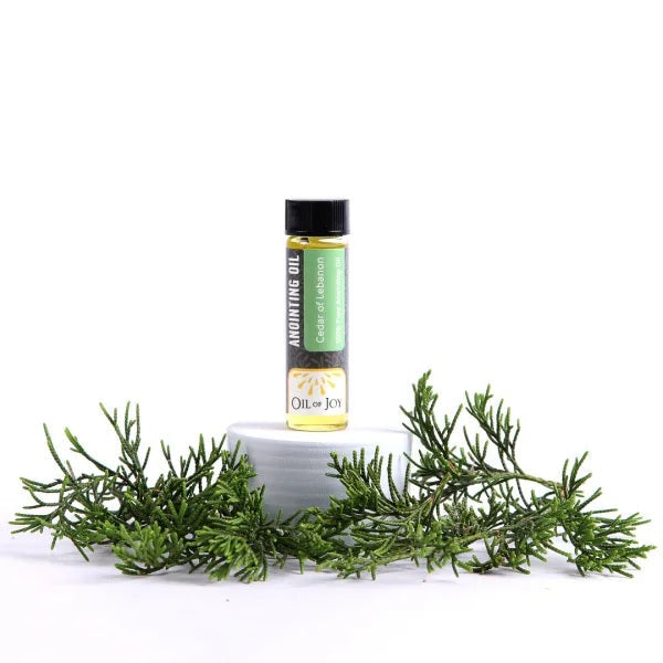 Anointing Oil Cedars of Lebanon 1/4 oz (Pack of 6) - Re-vived