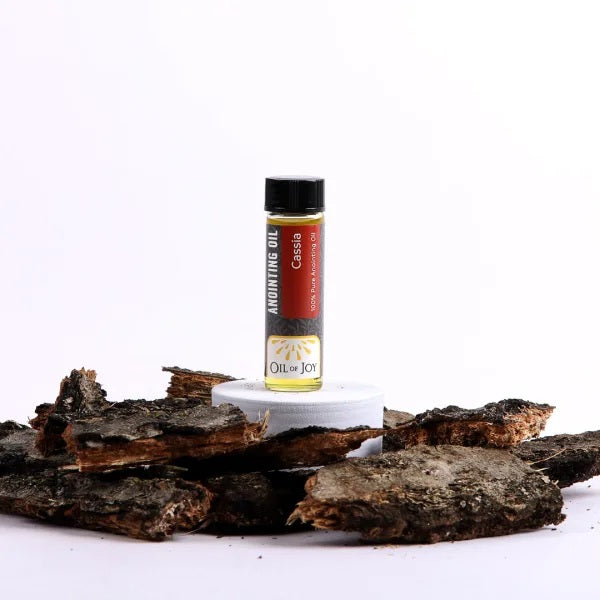 Anointing Oil Cassia 1/4 oz (Pack of 6) - Re-vived